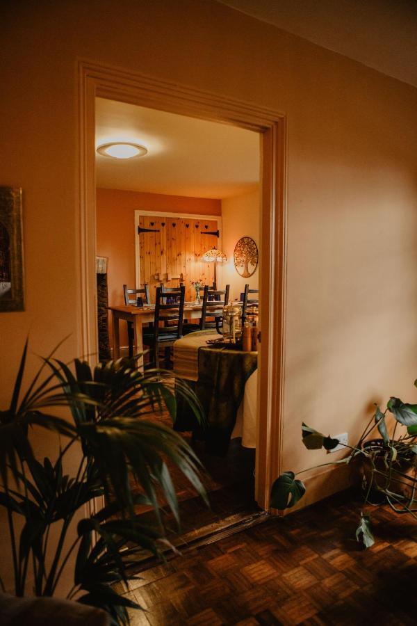 Holwell Holistic Retreat Acomodação com café da manhã Barnstaple Exterior foto